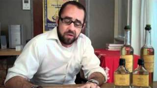 What is Mezcal Explained by Stephen Myers of Ilegal Mezcal [upl. by Naillij]