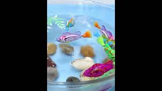 THKro Prezinta Lumea Animalelor Pestisorul de Aur animation fish [upl. by Medeah]