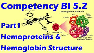 Hemoproteins and Hemoglobin Structure  Competency BI 52 Lecture series 1 [upl. by Yanat120]