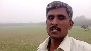 Pakistan ky janobi Punjab ka mosam [upl. by Reinke]