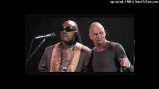 Sting and Stevie Wonder  Fragile live 60th Birthday NY [upl. by Imotih]