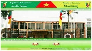 Cameroun  un amendement apporté à larticle 127 du code pénal controversé [upl. by Ecienal]