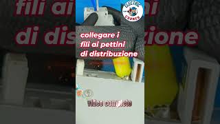 collegamento fili ai pettini di distribuzione quadri elettrici [upl. by Kcam]