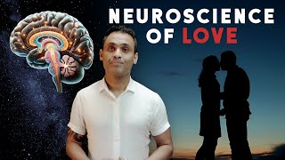 The Neuroscience of Love and Attachment Oxytocin Vasopressin and Dopamines Role in Bonding [upl. by Crofoot]