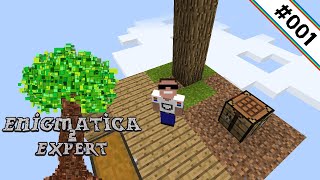 Wahnsinn reloaded 🌳 Enigmatica 2 Expert Skyblock 001 [upl. by Azitram437]