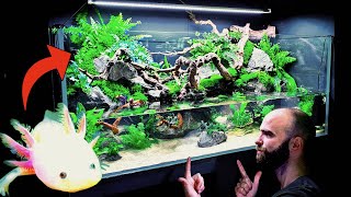 💚 Huge Natural 4ft Aqua Terrarium  Paludarium  Planted Tank Rehoming Pancho My Axolotl How To [upl. by Madlen484]