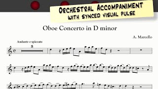 A Marcello  Oboe Concerto in D minor  ORCHESTRAL ACCOMPANIMENT  demo [upl. by Ineslta]