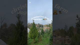 Christmas tree farm VLOGMAS DAY 4 preppy viralfypシ christmas taylorswift slay holidayswag [upl. by Geehan]