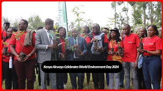 Kenya Airways leads land restoration and sustainability efforts in Ngong forest [upl. by Naihs]