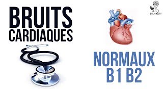 Ecoutez les Bruits Cardiaques Normaux B1 B2 [upl. by Einnok]