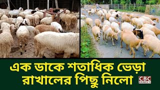 quotএক ডাকে রাখালের পিছু নিলো শতাধিক ভেড়ার পাল  প্রকৃতির অসাধারণ দৃশ্যquot  Amazing view of nature [upl. by Dnamron]