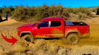 OffRoad Challenge  TRD Vs SR5 Tacoma [upl. by Aihsekin]