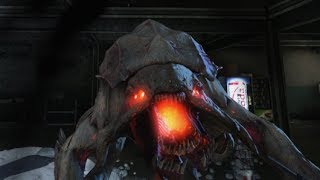 Extinction Rhino Glitch  Nightfall PC Gameplay Call of Duty Ghost Max Fov [upl. by Layne]