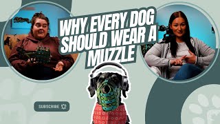 Why Every Dog Should Wear A Muzzle And How To Train Them [upl. by Alimak]