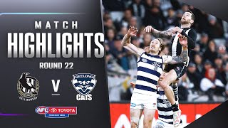 Collingwood v Geelong Highlights  Round 22 2023 [upl. by Zack]