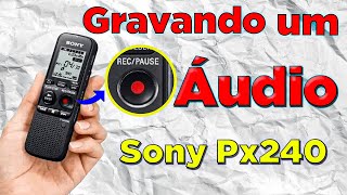 Como gravar áudio com o gravador Sony PX240 Um guia passo a passo [upl. by Greenlee]