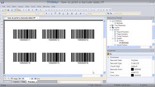 Print Barcode Labels with Professional Labeling Software [upl. by Anaimad711]