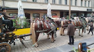 Fürth Michaelis Kirchweih 2024  Festzug Hammer Genial Spaß Bier 🍻🍺✅ [upl. by Lilian]