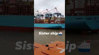 Ship and port😍shipping reels nature viral videoshorts marine seaman sea cruise seafarer [upl. by Lolly]