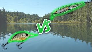 Crankbaits VS Jerkbaits IN DEPTH [upl. by Fletcher521]