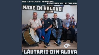 Tune of Voia and Vlach Hora from Velika Jasikova Isâcova Mare [upl. by Nagap]