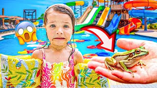 ★ DORA ENCONTROU UM SAPO NA PISCINA ★ ISADORA MASUDINHA ★ [upl. by Romanas532]