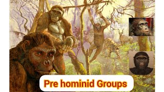 Pre hominid groupsSahelanthropusOrrorin ArdipithecusAnthropologyInsightsforUPSCNET [upl. by Parent]