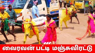 வீர தமிழச்சி🔥 காளை வைரவன் பட்டி மஞ்சுவிரட்டு 2024vairavanpatti Manjuvirattu 2024 [upl. by Gweneth35]