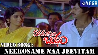 Edadugula Bandham Movie  Neekosame Naa Jeevitam Video Song [upl. by Nnaillij]