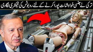 Turkey SHOCKED The World With Their Robotic Technology In Urdu Hindi [upl. by Poppo23]