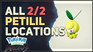 All Petilil Locations Pokemon Legends Arceus [upl. by Eiramlatsyrk31]