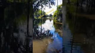 The road to Central CNA in Zephyrhills FL [upl. by Ennayoj600]