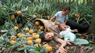 Harvest sweet ripe pineapples to sell at the market  how to build a kitchen for daily cooking [upl. by Shivers347]