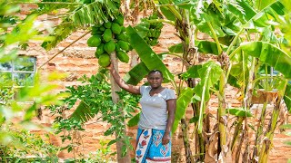 Agroecology Farming in Kitui  Carols Story [upl. by Nirel738]