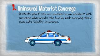 Insurance 101 Personal Auto Coverages [upl. by Ailero]