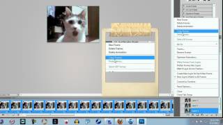 Photoshop Tutorial  How to Combine 2 or more Animated Gifs Together into 1 File [upl. by Koslo]