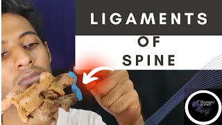 LIGAMENTS AT SPINE BIOMECHANICS OF SPINEPhysiotherapy Tutorial [upl. by Market]