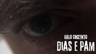 Galo Cinzento  DIAS E PAM Videoclipe [upl. by Einhpets]