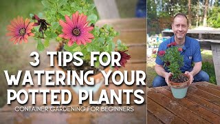 💦 3 Tips for Watering Potted Plants shorts  Container Gardening for Beginners 💦 [upl. by Ahsimek938]