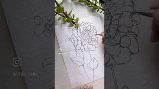 art pensketch pencilart pencildrawing shortvideo shorts drawing stepbystep [upl. by Sofko]