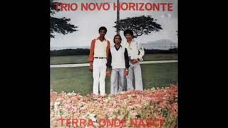 TRIO NOVO HORIZONTE ÁLBUM [upl. by Nalrah]