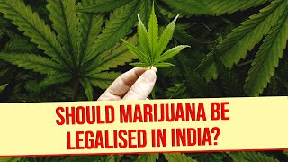 Should Marijuana Be Legalised In India  Think Aloud [upl. by Jordan]