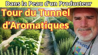 Visite Hebdomadaire  Secrets d’un Tunnel d’Aromatiques en Septembre [upl. by Namolos399]