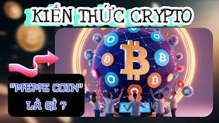 Kiến Thức CRYPTO Sự Thật Về Meme Coin Bạn Đã Biết Chưa [upl. by Eremehc662]