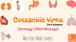 Coxsackievirus  Microbiology  Med Vids Made Simple [upl. by Yraunaj]