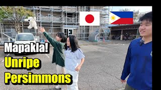 Free Persimmons  Mapakla  Filipino Single Father in Japan [upl. by Atinrehs689]