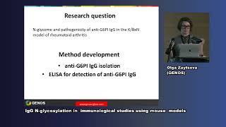 Dr Olga Zaytseva  IgG Nglycosylation in immunological studies using mouse models [upl. by Berget574]