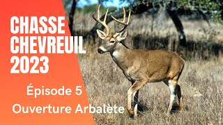 Chasse chevreuil 2023 Ouverture Arbalète Ep5 [upl. by Blaze]