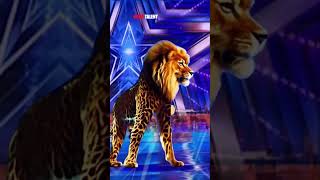 Miracle or magic 😱 Man in lion 🦁 America’s got talent agt talent americangottalent [upl. by Monte69]