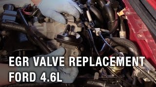 EGR Valve Replacement  Ford 46L [upl. by Vinna923]